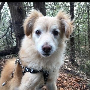 Meet your Posher, Maude